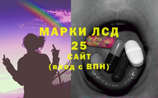 индика Коряжма